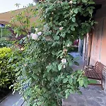 Apartamento Stanze Degli Aceri Murazzano (Cuneo)