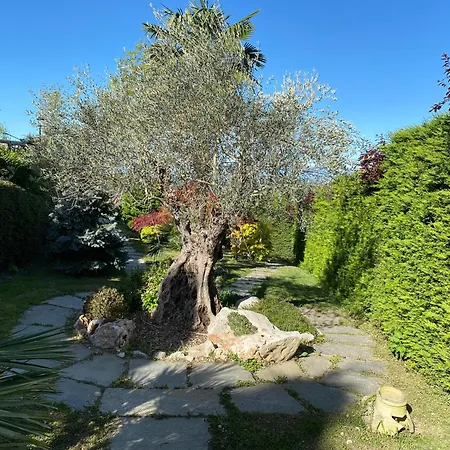 Apartamento Stanze Degli Aceri