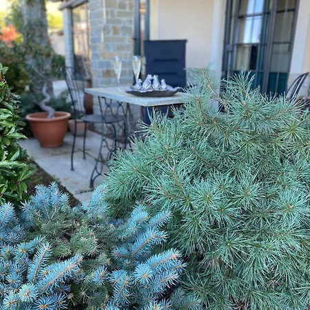 Stanze Degli Aceri Murazzano (Cuneo)