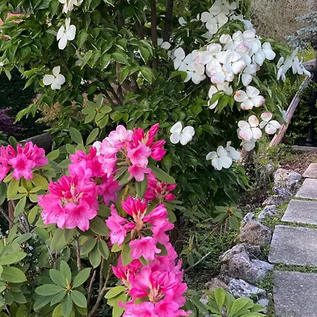 Stanze Degli Aceri * Murazzano (Cuneo)