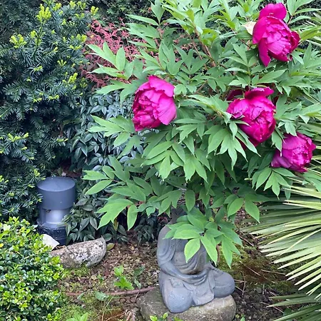 Stanze Degli Aceri Apartment Murazzano (Cuneo)