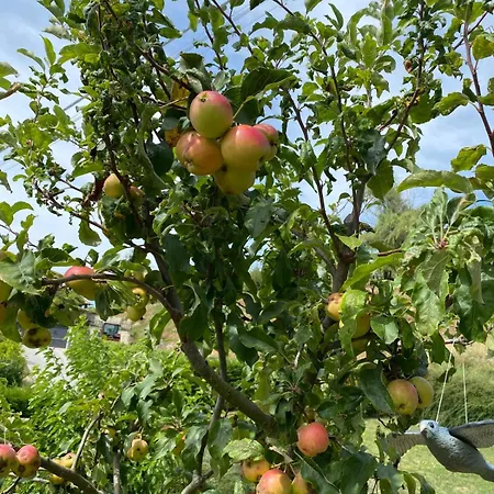 Stanze Degli Aceri *