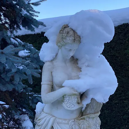 Stanze Degli Aceri Apartment