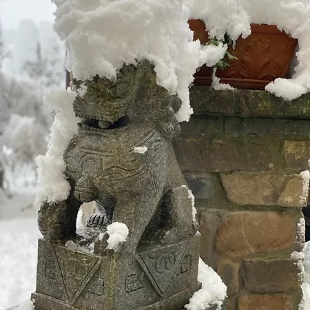 Stanze Degli Aceri Apartment Murazzano (Cuneo)