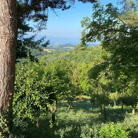 Stanze Degli Aceri *