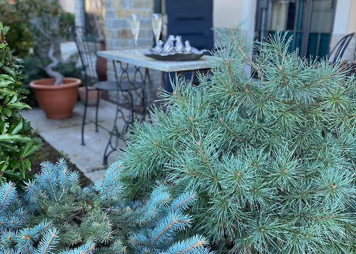 Stanze Degli Aceri Murazzano (Cuneo)