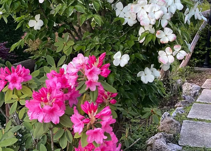 Stanze Degli Aceri * Murazzano (Cuneo)