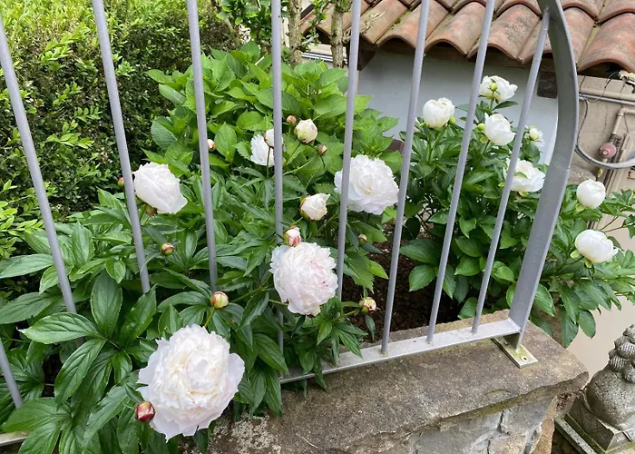 Stanze Degli Aceri Apartment *