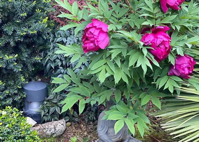 Stanze Degli Aceri Apartment Murazzano (Cuneo)