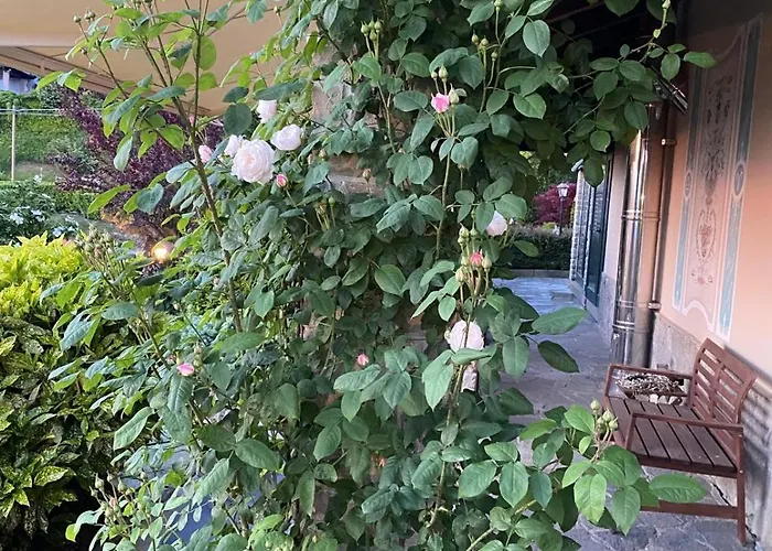 Apartment Stanze Degli Aceri Murazzano (Cuneo)