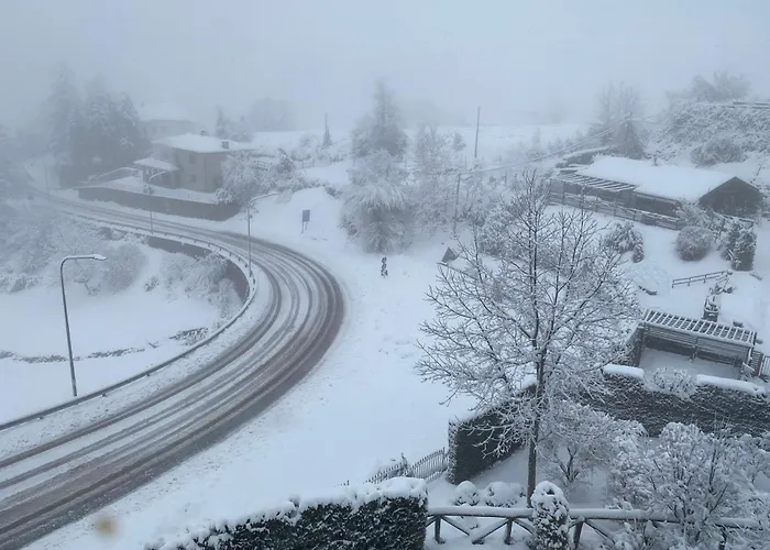 Stanze Degli Aceri