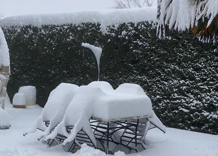 Apartment Stanze Degli Aceri *