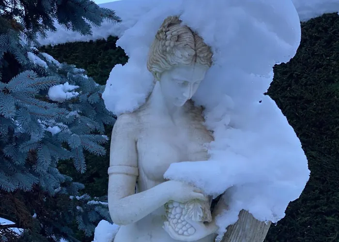 Stanze Degli Aceri Apartment