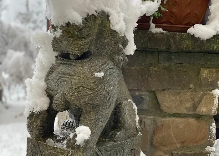 Stanze Degli Aceri Apartment Murazzano (Cuneo)